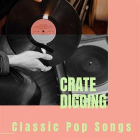Various Artists - Crate Digging- Classic Pop Songs (2023) Mp3 320kbps [PMEDIA] ⭐️