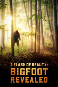 A Flash Of Beauty Bigfoot Revealed (2022) [720p] [WEBRip] <span style=color:#39a8bb>[YTS]</span>