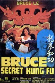 Bruces Secret Kung Fu (1988) [BLURAY] [720p] [BluRay] <span style=color:#39a8bb>[YTS]</span>