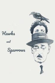 The Hawks And The Sparrows (1966) [1080p] [BluRay] <span style=color:#39a8bb>[YTS]</span>