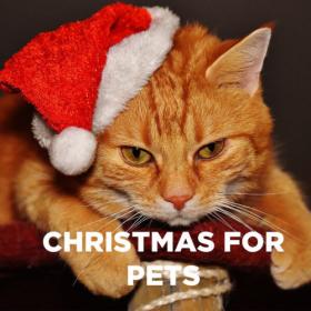 Various Artists - Christmas for Pets  Have a Furry Christmas and a Happy New Year! (2023) Mp3 320kbps [PMEDIA] ⭐️