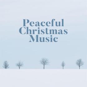 Various Artists - Peaceful Christmas Music (2023) Mp3 320kbps [PMEDIA] ⭐️