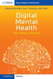 Digital Mental Health - From Theory to Practice