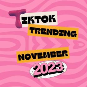 Various Artists - Tik Tok Trending (November 2023) (2023) Mp3 320kbps [PMEDIA] ⭐️
