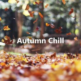 Various Artists - Autumn Chill (2023) Mp3 320kbps [PMEDIA] ⭐️