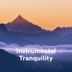 Various Artists - Instrumental Tranquility (2023) Mp3 320kbps [PMEDIA] ⭐️