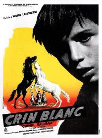 【高清影视之家发布 】白鬃野马[简繁英字幕] White Mane The Wild Horse 1953 CC 1080p BluRay x264 FLAC 1 0 2Audio<span style=color:#39a8bb>-SONYHD</span>