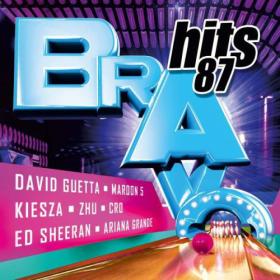 VA - BRAVO Hits 087 (2014) FLAC [PMEDIA] ⭐️