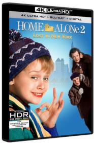Home Alone 2 Lost in New York 1992 4K UHD HYBRID WEBRip DoVi HDR DTS-HD MA 5.1 H 265-MgB