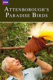 【高清影视之家发布 】爱登堡的极乐鸟世界[中文字幕] Attenborough's Paradise Birds 2015 1080p WEB-DL H264 AAC<span style=color:#39a8bb>-SONYHD</span>