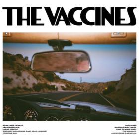 The Vaccines - Pick-Up Full Of Pink Carnations (2024) Mp3 320kbps [PMEDIA] ⭐️