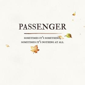 Passenger - Sometimes It's Something, Sometimes It's Nothing at All (2019 Pop) [Flac 16-44]