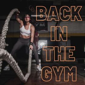 Various Artists - back in the gym (2024) Mp3 320kbps [PMEDIA] ⭐️