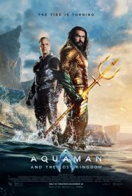 Aquaman and the Lost Kingdom 2023 1080p 10bit WEBRip 6CH x265 HEVC<span style=color:#39a8bb>-PSA</span>