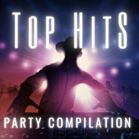 Various Artists - Party Compilation - Top Hits (2024) Mp3 320kbps [PMEDIA] ⭐️