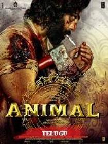 T - Animal (2023) 1080p Telugu HQ HDRip - HEVC - (DD 5.1 - 192Kbps & AAC) - 2.1GB