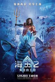 海王2：失落的王国 Aquaman and the Lost Kingdom 2023 HD1080P X264 AAC English CHS-ENG BDYS