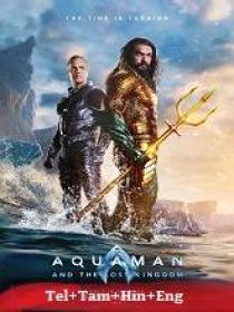 T - Aquaman and the Lost Kingdom (2023) 720p HQ HDRip - (DD 5.1 - 192Kbps) [Tel + Tam + Hin + Eng]