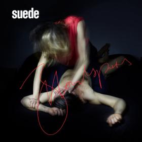 Suede - Bloodsports (Deluxe Edition) (2024) Mp3 320kbps [PMEDIA] ⭐️
