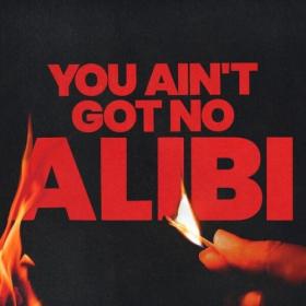Ella Henderson - You Ain't Got No Alibi (2024) Mp3 320kbps [PMEDIA] ⭐️