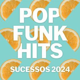 VA -  Pop Funk Hits - Sucessos 2024 - 2024 - WEB mp3 320kbps-EICHBAUM