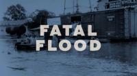 PBS American Experience 2001 Fatal Flood 1080p x265 AAC