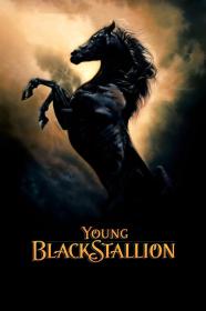 The Young Black Stallion (2003) [1080p] [WEBRip] [5.1] <span style=color:#39a8bb>[YTS]</span>