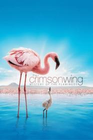 The Crimson Wing Mystery Of The Flamingos (2008) [720p] [BluRay] <span style=color:#39a8bb>[YTS]</span>
