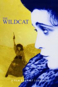 The Wildcat (1921) [720p] [BluRay] <span style=color:#39a8bb>[YTS]</span>