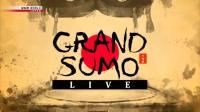 NHK Grand Sumo Live March 2024 720p HDTV x265 AAC MVGroup Forum