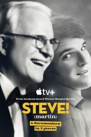 STEVE martin a documentary in 2 pieces S01 COMPLETE 720p WEBRip x264<span style=color:#39a8bb>-GalaxyTV[TGx]</span>