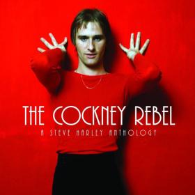 Steve Harley - The Cockney Rebel, A Steve Harley Anthology (3CD) (2006) [FLAC] [DJ]
