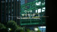 BBC Our World 2024 The Shadow of a Predator 1080p x265 AAC