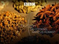 【高清影视之家发布 】地平线系列：烹饪造就人类吗[中文字幕] Horizon Did Cooking Make Us Human 2010 1080p WEB-DL H264 AAC<span style=color:#39a8bb>-SONYHD</span>