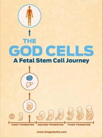 【高清影视之家发布 】生死之争：胎儿干细胞[中文字幕] The God Cells 2017 1080p WEB-DL H264 AAC<span style=color:#39a8bb>-SONYHD</span>