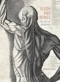 Flesh and Bones - The Art of Anatomy