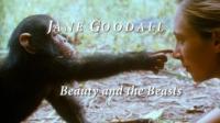 BBC Jane Goodall Beauty and the Beasts 720p HDTV x265 AAC