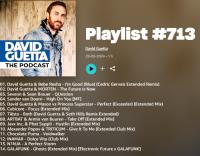 David Guetta - Playlist #713 - 2024 - WEB mp3 320kbps-EICHBAUM