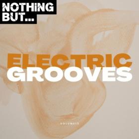 Various Artists - Nothing But    Electric Grooves Vol  13 (2024) Mp3 320kbps [PMEDIA] ⭐️