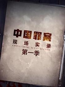 【高清剧集网发布 】罪案现场实录[全12集][国语配音+中文字幕] China Crime Scene Record S03 2019 1080p WEB-DL H264 AAC-LelveTV