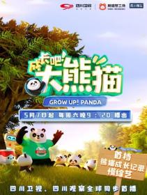 【高清剧集网发布 】成长吧！大熊猫[全13集][国语配音+中文字幕] Grow up!Panda S01 2022 2160p WEB-DL H265 AAC-LelveTV