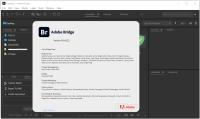 Adobe Bridge 2024 v14.0.4.222 (x64) Multilingual Pre-Activated