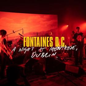 Fontaines D C  - A Night at Montrose - Selects (A Night At Montrose Live Version) (2020 Alternativa e indie) [Flac 24-48]