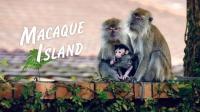 Macaque Island Series 1 2of3 The Grass is Greener 1080p x265 AAC