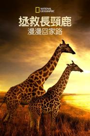 【高清影视之家发布 】营救长颈鹿之漫漫归途[简繁英字幕] Saving Giraffes The Long Journey Home 2022 1080p DSNP WEB-DL DDP5.1 H264-BATWEB