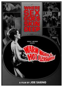 Warm Nights and Hot Pleasures [1964 - USA] erotic drama