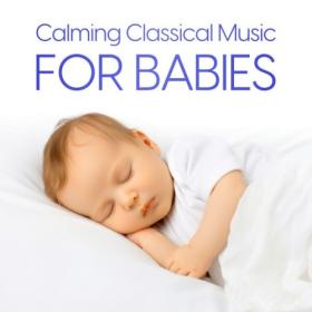Various Artists - Calming Classical Music for Babies (2024) Mp3 320kbps [PMEDIA] ⭐️