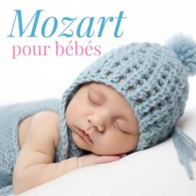 Various Artists - Mozart pour bébés (2024) Mp3 320kbps [PMEDIA] ⭐️