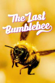 The Last Bumblebee (2024) [720p] [WEBRip] <span style=color:#39a8bb>[YTS]</span>
