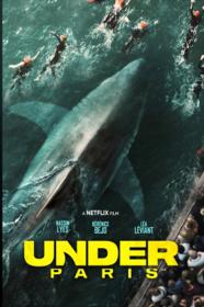 Under Paris - Sous la Seine (2024) 1080p H264 ITA ENG FRE AC3 5.1 WEBRip Subs - LoZio